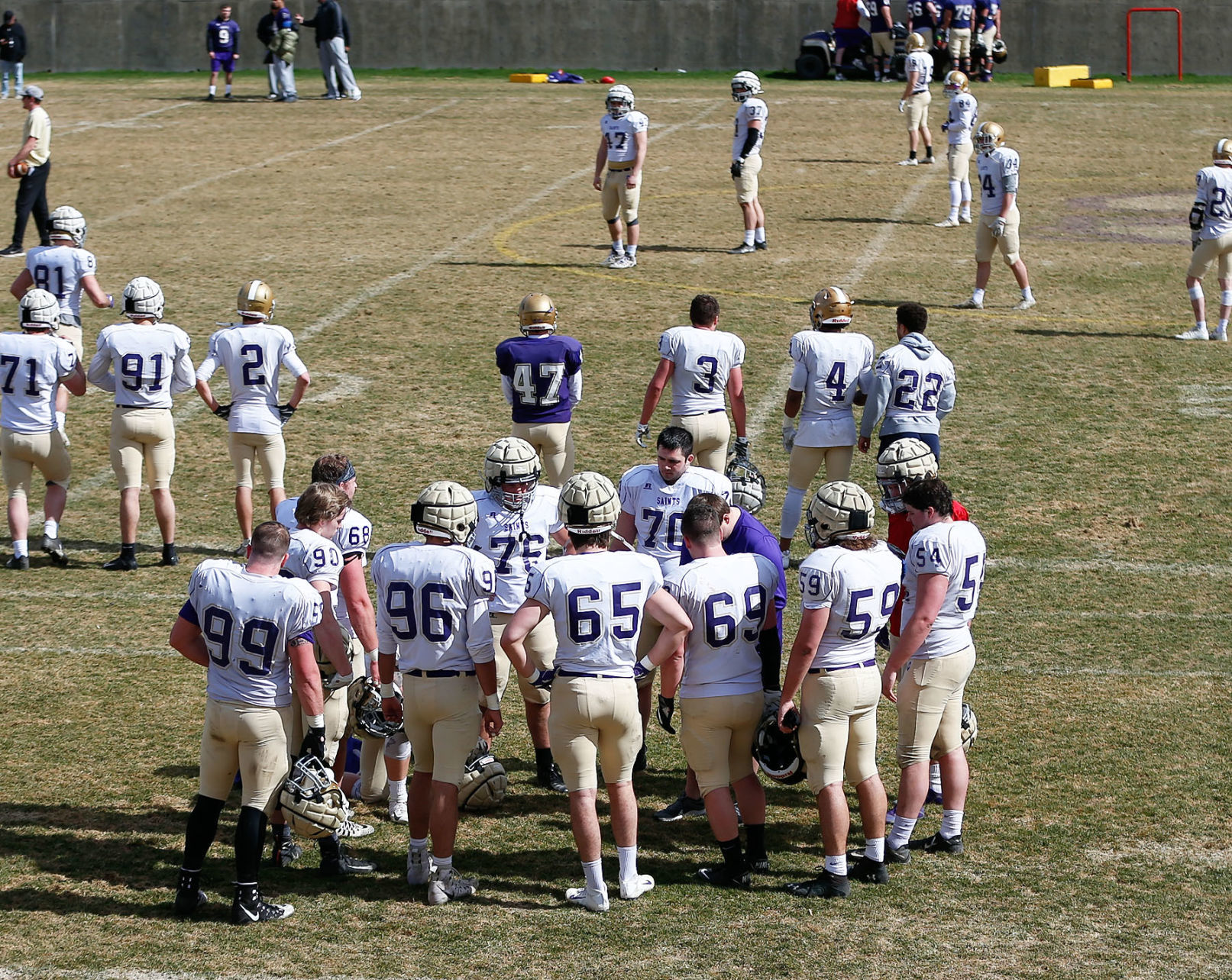 Saints defense